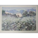 * Caroline Sykes (XX), Limited Edition Lithograph in colours 90/300, ' Morning Fields ', Signed ,