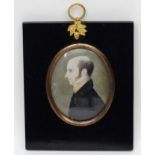 Regency Portrait, Miniature on ivory oval, Portrait of a gentleman looking right, Image 3 x 2 1/2".