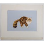 XX, Gouache, Brown Tabby and White Norwegian Forest Cat.