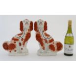 A pair of Victorian Staffordshire King Charles Spaniel Dogs in Russet and white ,