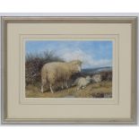 Indistinctly signed, Follower of Thomas Sydney Cooper, Watercolour, Study of sheep in landscape,