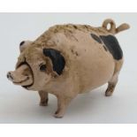 A 21stC novelty cold painted bronze table bell formed as a Gloucester Old Spot pig with clockwork