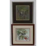 D J S Goodman XX Ornithological School, Gouache , a pair, Robin and Coal Titmouse,