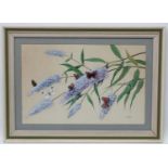 Peter Merrin XX Wildlife artist, Watercolour and gouache, ' Butterflies on Buddleia ' Peacock ,