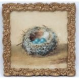 E.W.... 186?, Watercolour, Birds nest with eggs, Signed lower right .