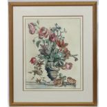Possibly indistinctly signed Dutch School, Hand coloured engraving ,