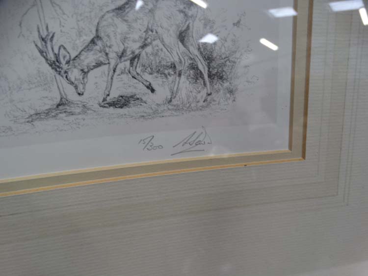 Signed limited edition print by Anne Seward depicting Roe Deer CONDITION: Please - Image 3 of 3