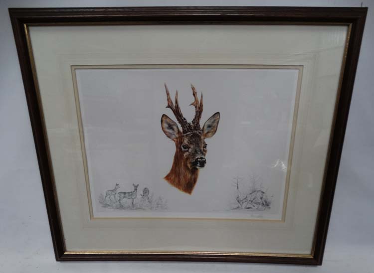 Signed limited edition print by Anne Seward depicting Roe Deer CONDITION: Please