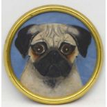 Barbara Hyde , late XX Canine school, Oil on board , a tondo, Portrait of a Pug dog,