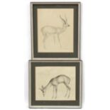 John Rattenbury Skeaping ( 1901-1980), Lithograph , a pair, 'Leechwee antelope ...