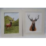 2 mounted sketches of red stags CONDITION: Please Note - we do not make reference