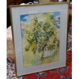 Watercolour, Susan Shaw, 'Citrus Tree' ,