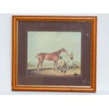 Print of horse,