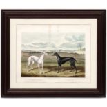 Hare Coursing / Longdogs, Edwin H Hunt after Richard Powell, Hand coloured engraving,