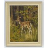 Alison Gilest 1952, Oil on canvas, A young Fallow deer in a woodland, Signed and dated lower right.