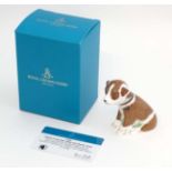 A Royal Crown Derby limited edition fine bone china paperweight ''Colin the puppy'',