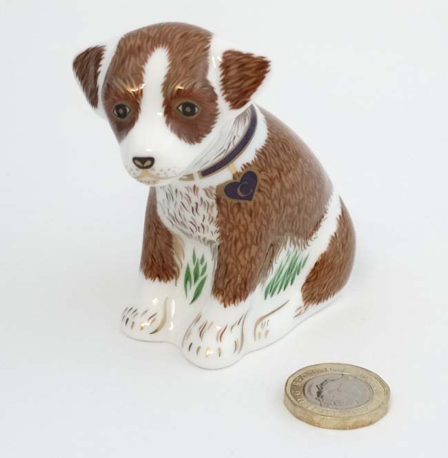 A Royal Crown Derby limited edition fine bone china paperweight ''Colin the puppy'', - Image 3 of 5