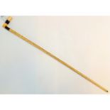 *Cane. A 19th-century marine ivory walking stick, with horn segments to the handle, 80.5cm long (1)