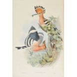 Gould (John). The Birds of Great Britain, 25 original parts (complete), published by the author,