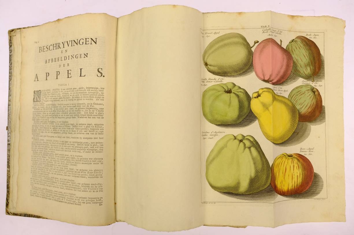 Knoop (Johann Hermann). Beschrijving en Afbeeldingen van de Beste Soorten van Appelen en Peeren, - Image 8 of 10