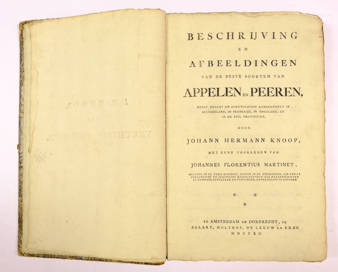 Knoop (Johann Hermann). Beschrijving en Afbeeldingen van de Beste Soorten van Appelen en Peeren, - Image 5 of 10
