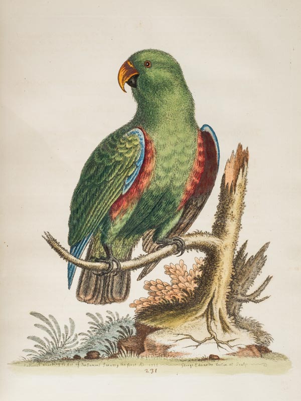 Edwards (George). Gleanings of Natural History, exhibiting figures of Quadrupeds, Birds, Insects,