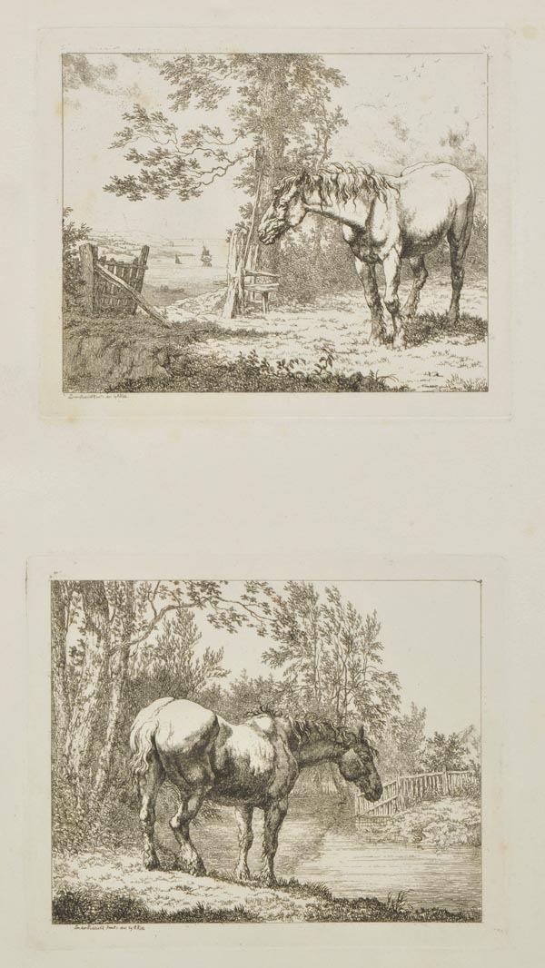 Hills (Robert). Etchings of Asses and Mules, R. Hills, 1808, 98 etchings on 56 plates, some light - Image 2 of 2