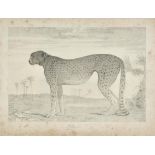 Daniell (William). Sketches of a Voyager, circa 1820, soft-ground etched title and 23 soft-ground