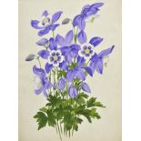 *Botanical watercolours. A collection of ten watercolours, circa 1900, ten watercolours of plants