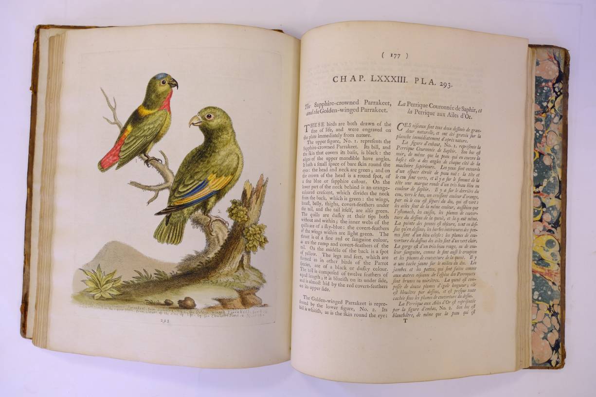 Edwards (George). Gleanings of Natural History, exhibiting figures of Quadrupeds, Birds, Insects, - Image 10 of 10