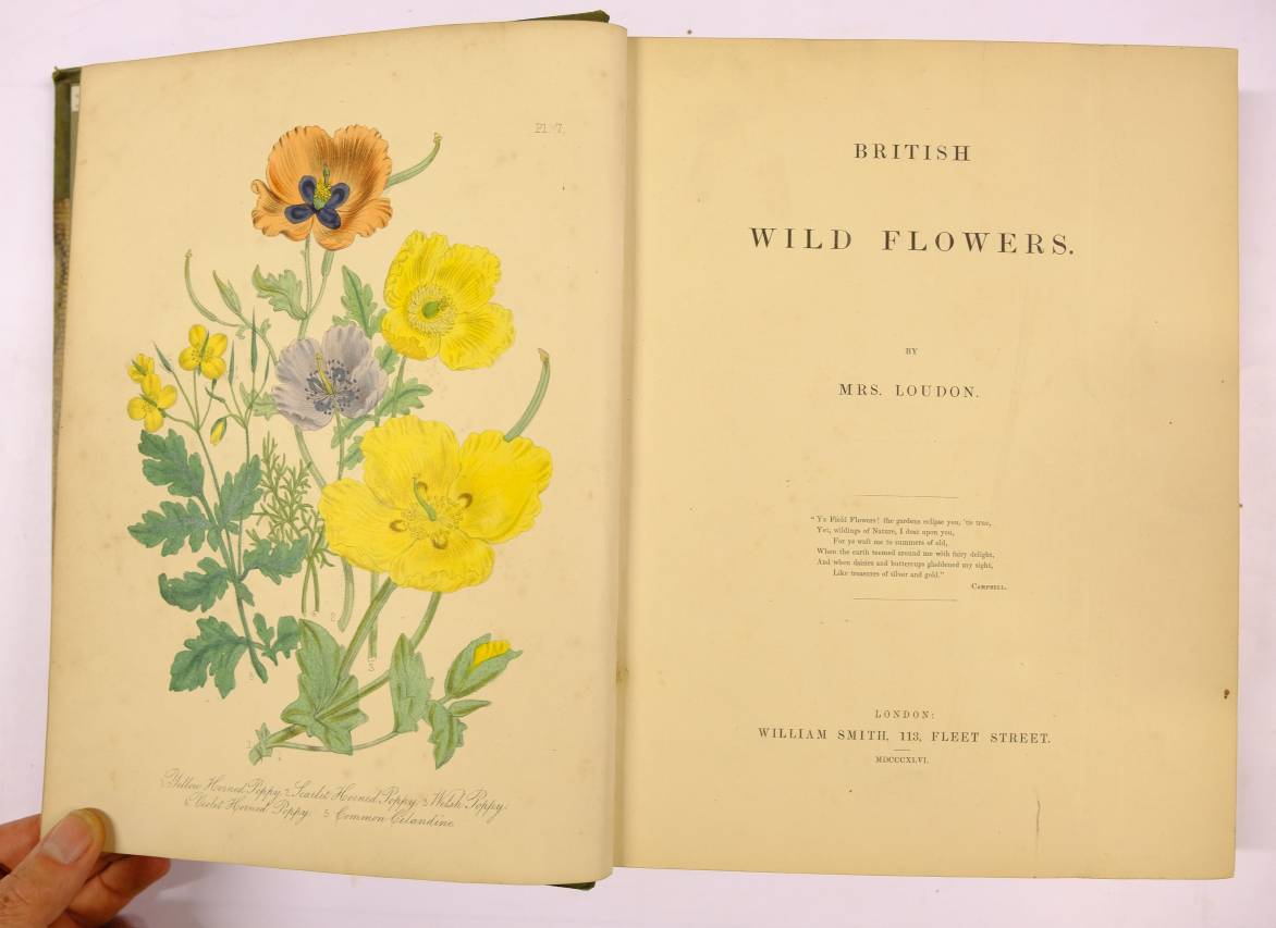 Loudon (Mrs. Jane). British Wild Flowers, 1st edition, 1846, 60 hand-coloured lithographed plates, - Image 4 of 7