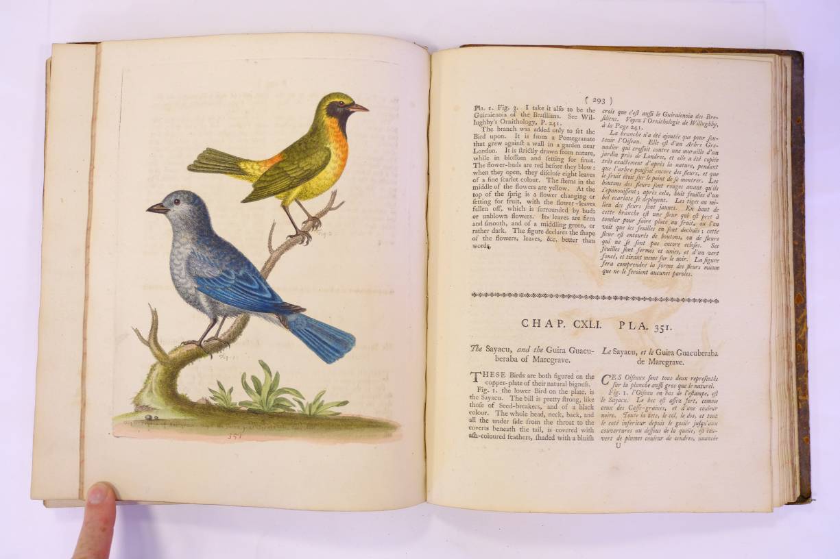 Edwards (George). Gleanings of Natural History, exhibiting figures of Quadrupeds, Birds, Insects, - Image 9 of 10