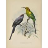 Shelley (Captain George Ernest). A Monograph of the Nectariniidae or family of Sun-birds,