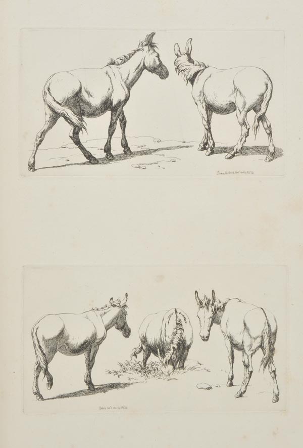 Hills (Robert). Etchings of Asses and Mules, R. Hills, 1808, 98 etchings on 56 plates, some light