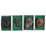 *Meteorite. A collection of four meteorite samples, comprising Henbury, Northern Territory,