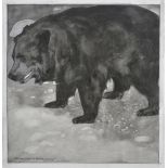 *Moore-Park (Carton, 1877-1956). The Brown Bear, grisaille watercolour on Goodall's Bristol Board
