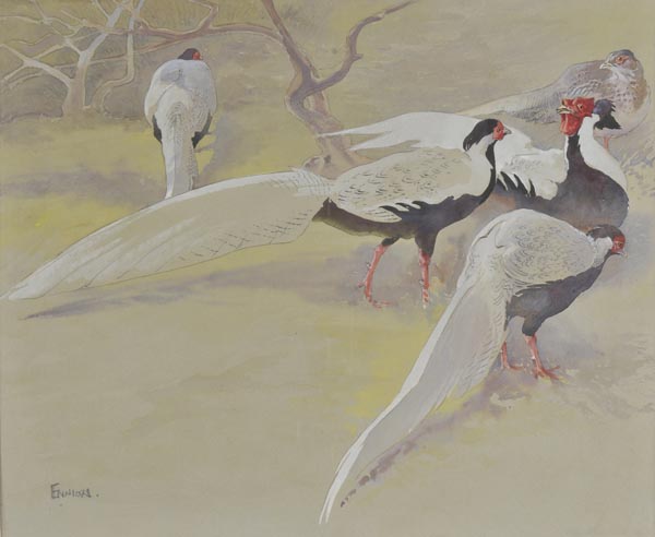 *Ennion (Eric Arnold Roberts, 1900-1981). Silver Pheasants, watercolour with pencil and