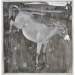 *Moore-Park (Carton, 1877-1956). The Donkey, grisaille watercolour on Goodall's Bristol Board