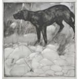 *Moore-Park (Carton, 1877-1956). The Wavy-coated Retriever, grisaille watercolour on Goodall's