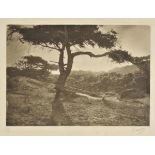 *Davison (George, 1856-1930). Three photogravures on tissue, circa 1912, one titled on the mount '