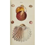 Sowerby (George Brettingham). The Conchological Illustrations, 1841, 200 hand-coloured engraved