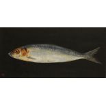 •LAUREN BISSELL (contemporary) "Herring", initialled lower left, oil on board, 6" x 12" (mounted)