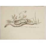 •SVEN BERLIN (1911-1999) "Number 20 Earthworm", titled lower right, signed and dated '66, pencil and