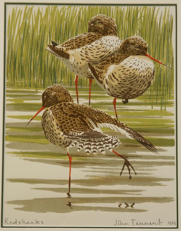 •JOHN TENNENT (bn. 1926) "Redshanks",