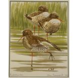 •JOHN TENNENT (bn. 1926) "Redshanks",