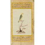 INDO-PERSIAN SCHOOL A miniature of a bird on a branch