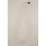 A SINGLE STRAND CULTURED PEARL NECKLACE