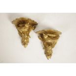 A PAIR OF CARVED GILTWOOD WALL BRACKETS