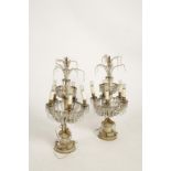 A PAIR OF 19TH CENTURY CONTINENTAL TABLE LAMPS