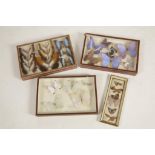 FOUR CASED SETS OF BUTTERFLIES